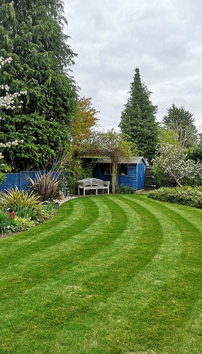 Lawn care in a professionally maintained garden